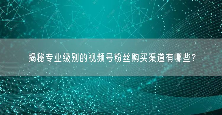 揭秘专业级别的视频号粉丝购买渠道有哪些?