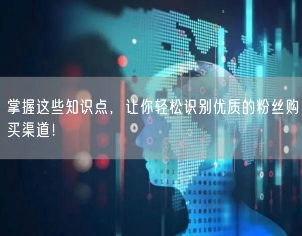 掌握这些知识点,让你轻松识别优质的粉丝购买渠道!