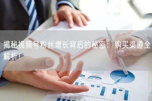 揭秘视频号粉丝增长背后的秘密:购买渠道全解析!