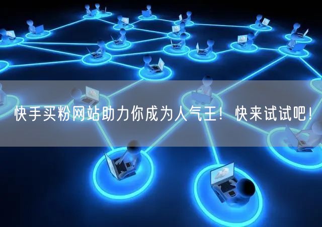 快手买粉网站助力你成为人气王!快来试试吧!