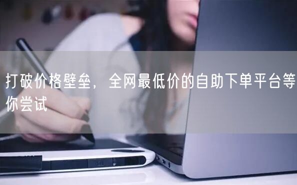 打破价格壁垒,全网最低价的自助下单平台等你尝试