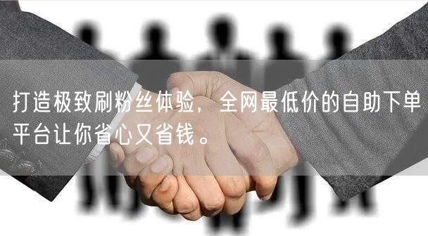 打造极致刷粉丝体验,全网最低价的自助下单平台让你省心又省钱。