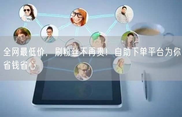 全网最低价,刷粉丝不再贵!自助下单平台为你省钱省心