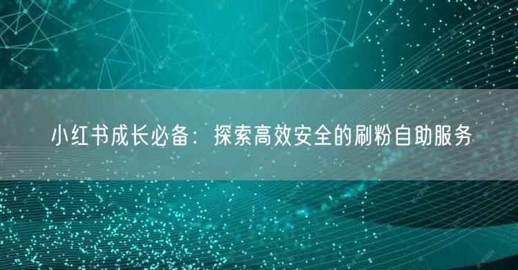 小红书成长必备:探索高效安全的刷粉自助服务