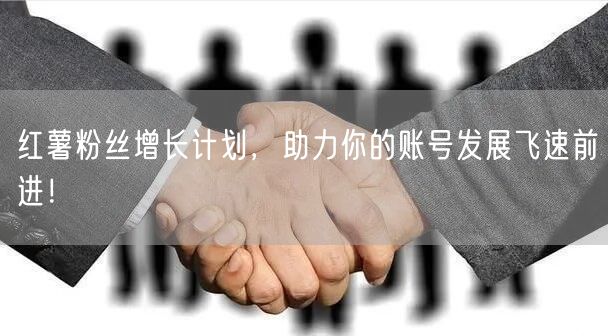 红薯粉丝增长计划,助力你的账号发展飞速前进!