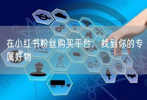 在小红书粉丝购买平台,找到你的专属好物